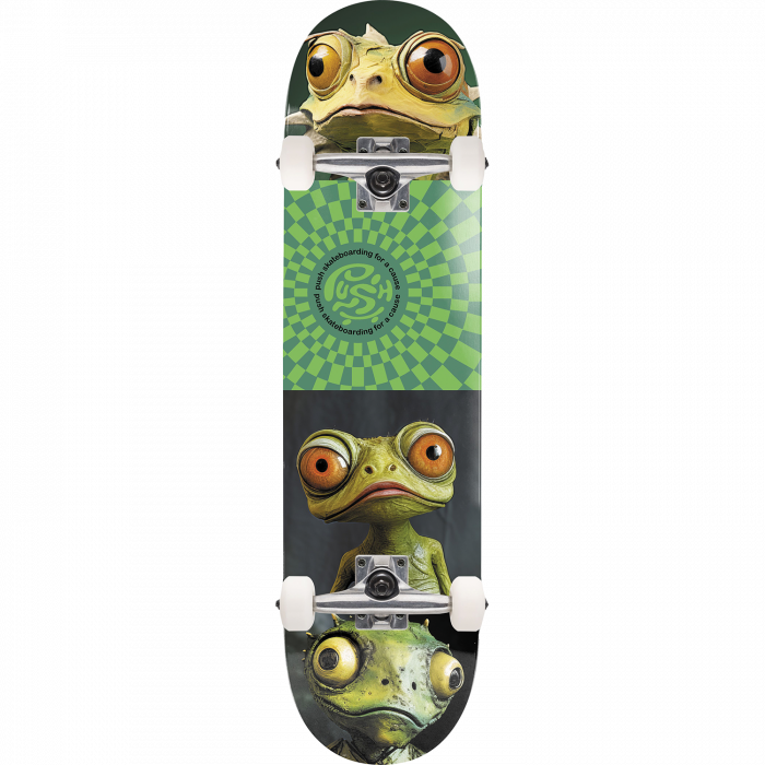 PUSH Gecko FP Complete