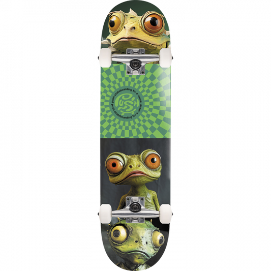 PUSH Gecko FP Complete