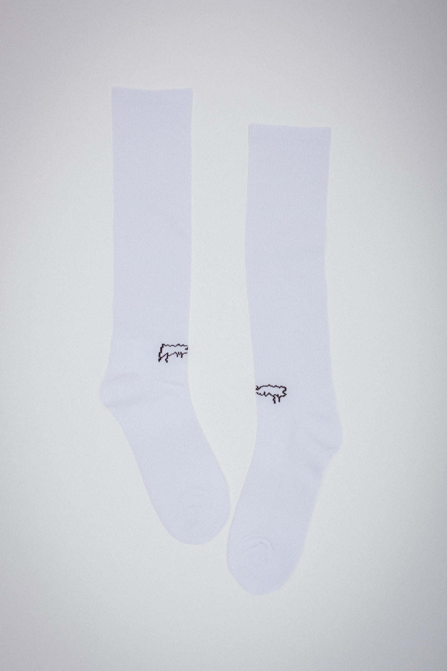 FA SOCKS