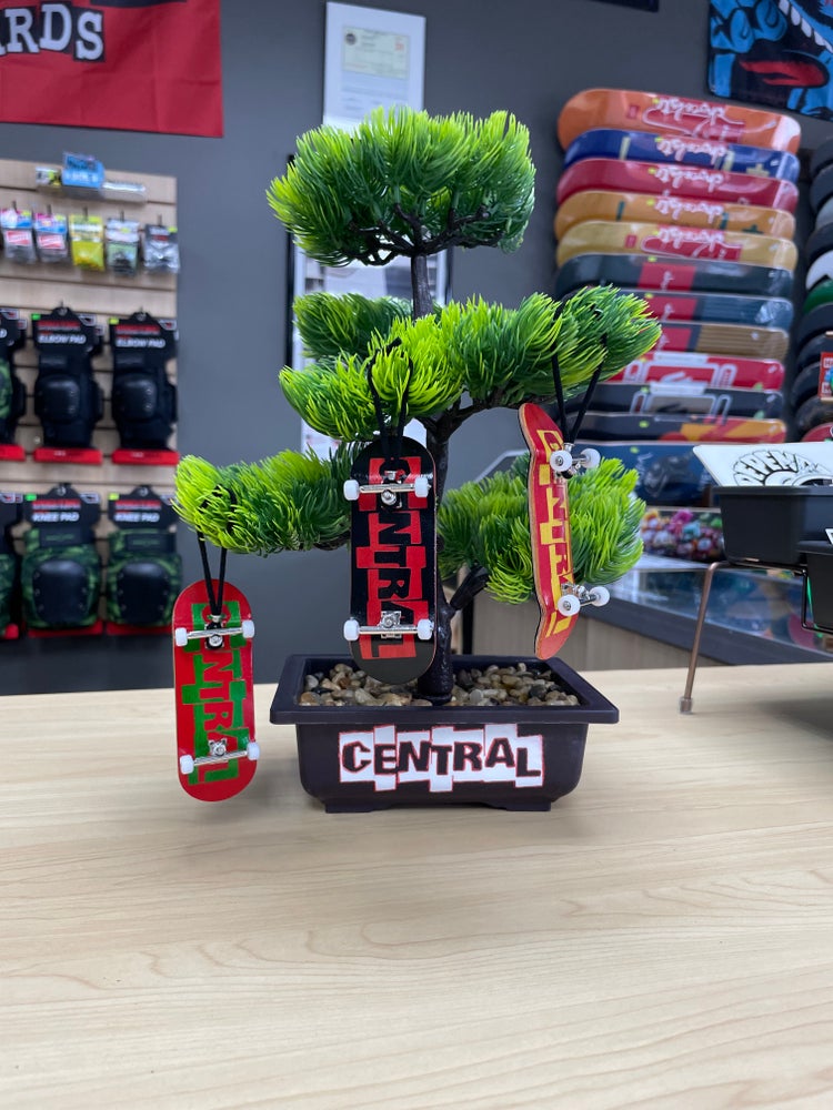 Skateshop Completes