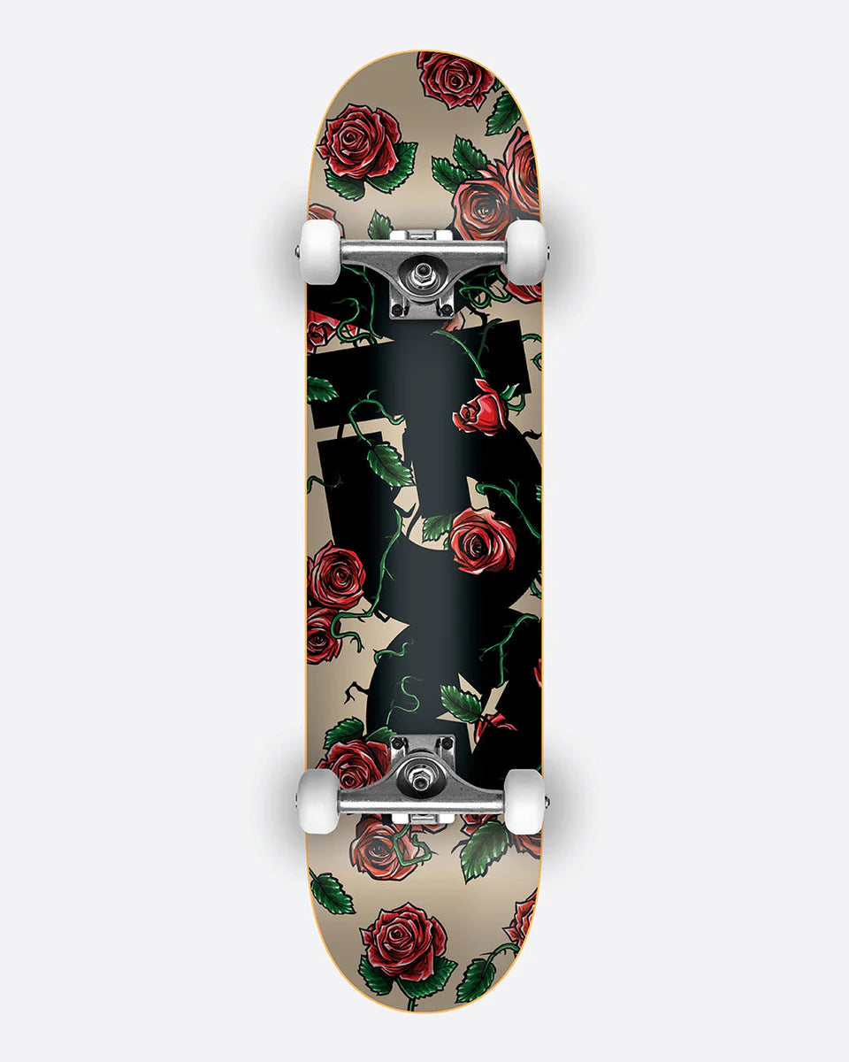 DGK SKATEBOARDS