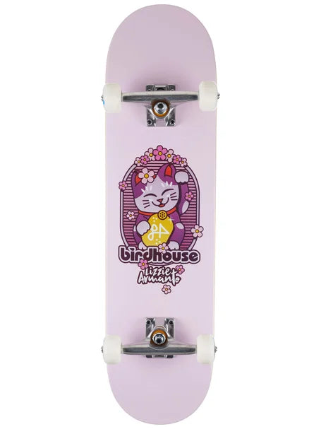 BIRDHOUSE SKATEBOARDS